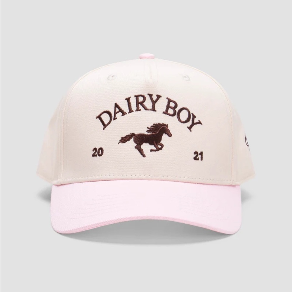 ISO DAIRY BOY EAST COAST TRUCKER HAT NEAPOLITAN